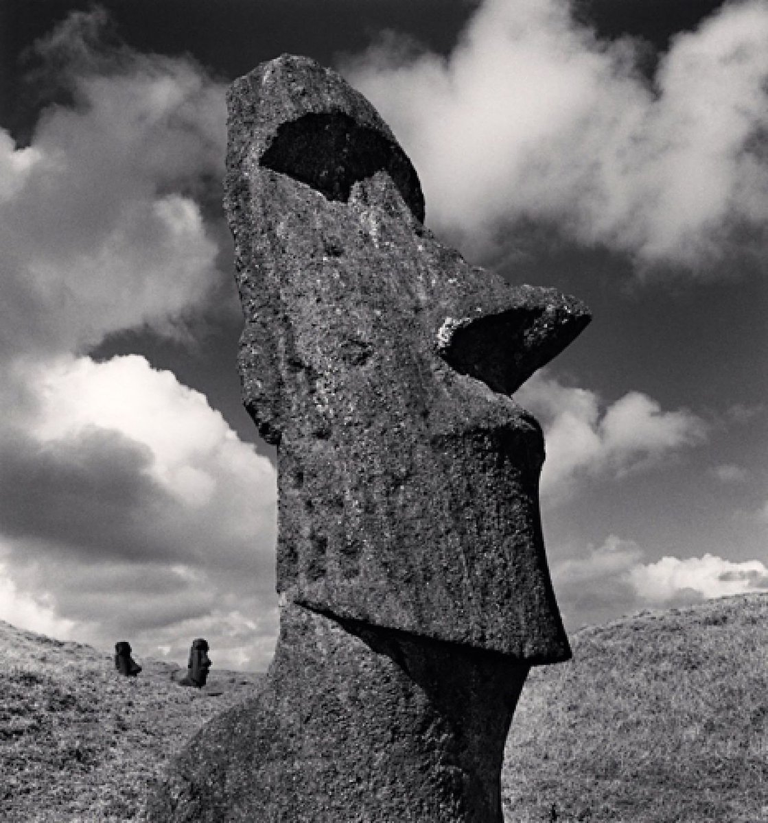 archillect's tweet image. 