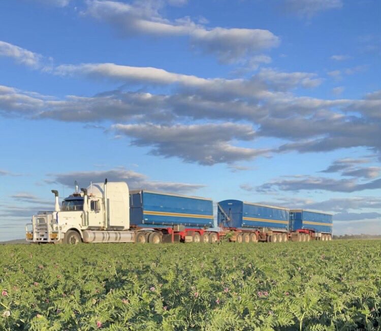 ADM Australia (@admaustralia) on Twitter photo CQ chickpeas on the move in view of the class of 2021! Next pit stop Townsville, then…🚢😉. 📷Sizer&Cogill <a href="/townsvilleport/">Port of Townsville</a> @Pulse_Australia CQ chickpeas on the move in view of the class of 2021! Next pit stop Townsville, then…🚢😉. 📷Sizer&Cogill <a href="/townsvilleport/">Port of Townsville</a> @Pulse_Australia