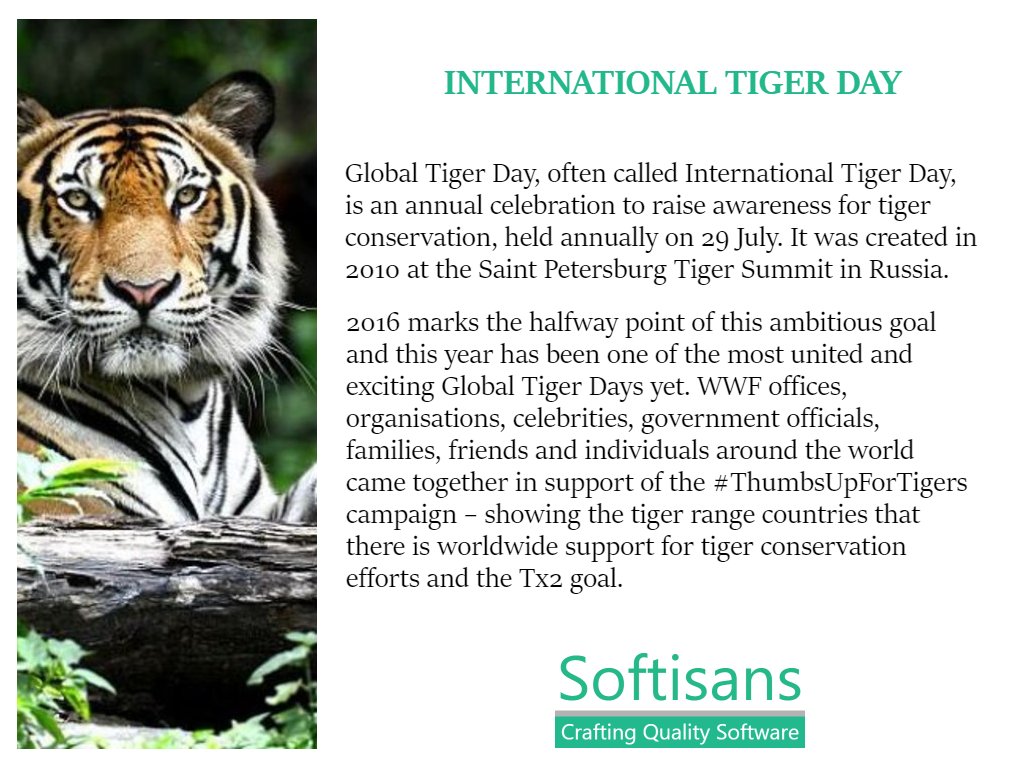 Softisans_com's tweet image. Global Tiger Day, often called International Tiger Day, is an annual celebration to raise awareness for tiger conservation, held annually on 29 July. It was created..
#softisans
#islamabad
#sqlserverdevelopment
#projectmanagement
#covid
#staysafe
#picnic
#internationaltigerday