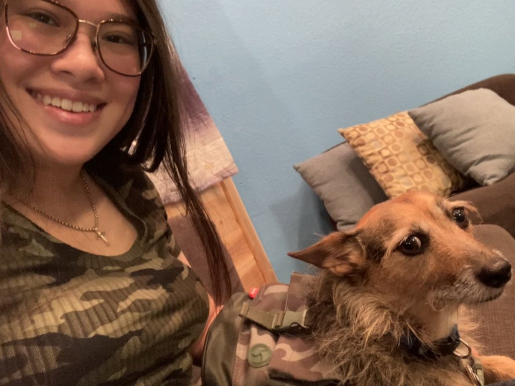 HerbieMooland's tweet photo. Matching mom in camo! #camo #matchingwithmom #dogbackpack #dogsoftwitter https://t.co/gXQtR38zc2