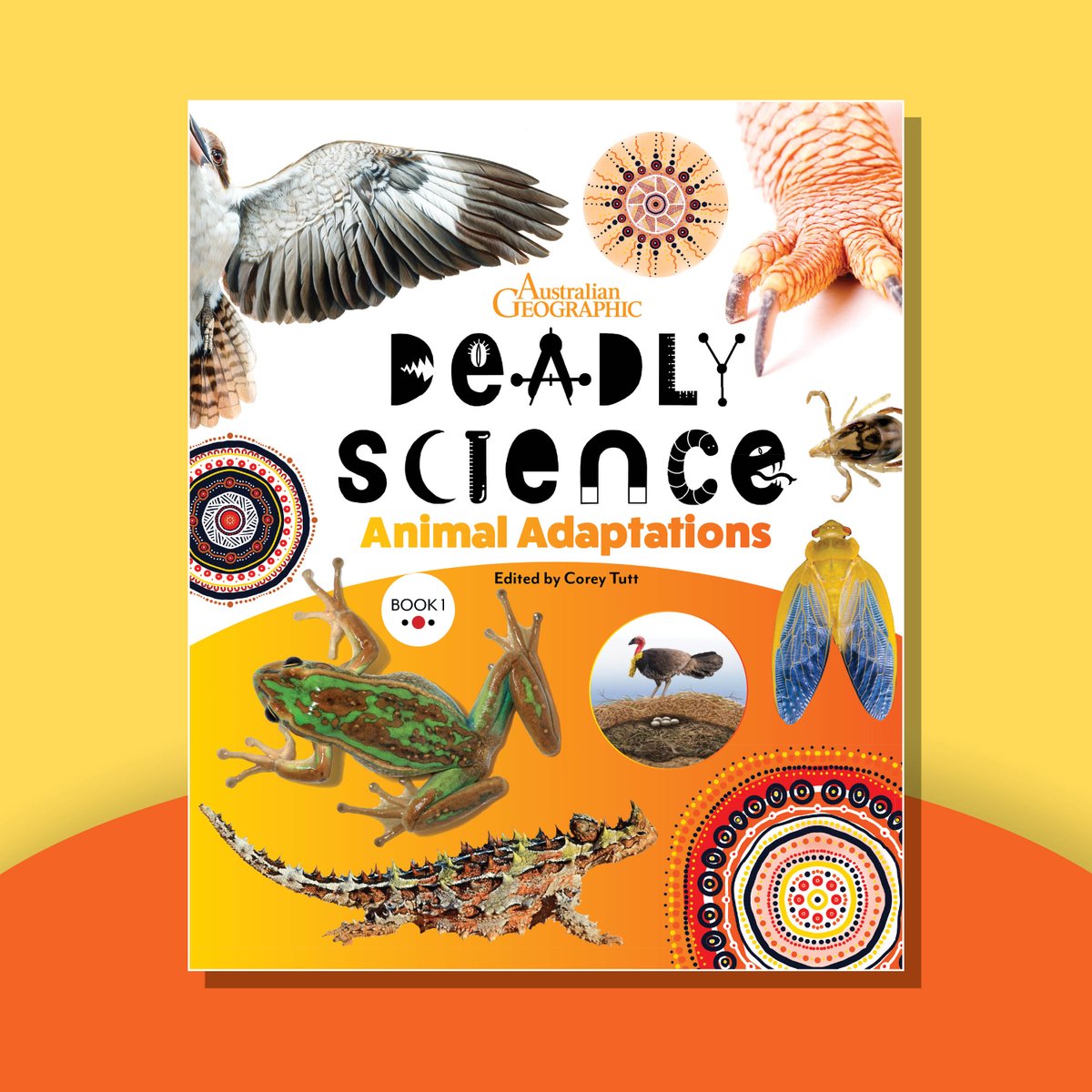 Australian Geographic tweet media