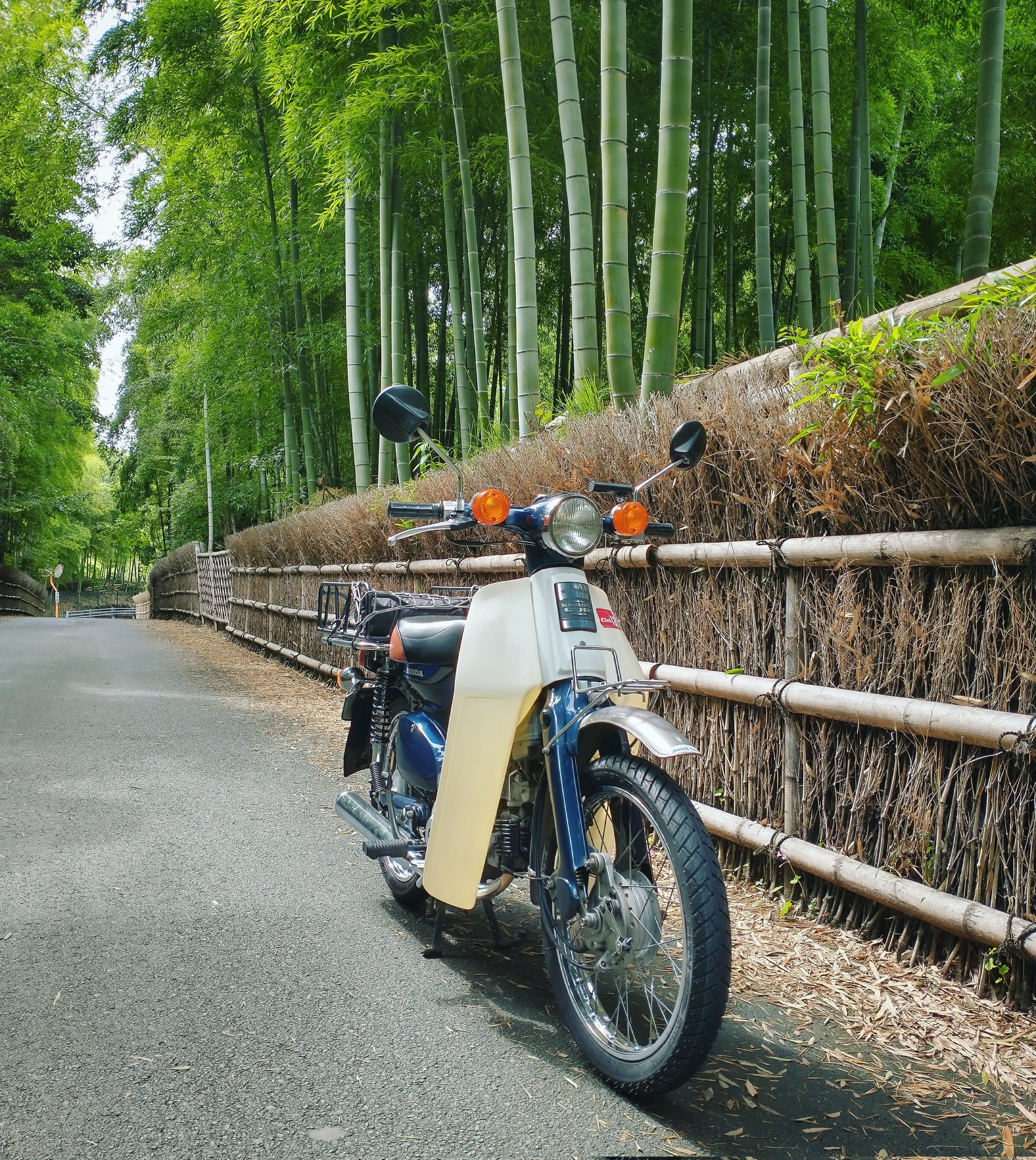 かもめカブ Twitter Search Twitter