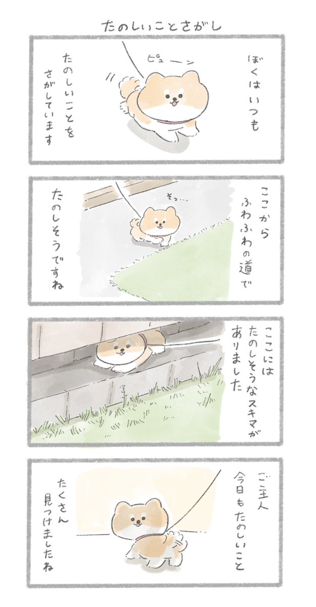 いぬは今日も、たのしいことをさがします。 