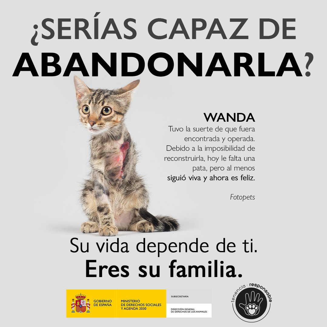 🦮 Cada año en España se abandonan a más de 300.000 animales de compañía, una cifra alarmante que tiene detrás historias reales de sufrimiento. 

En épocas estivales, el número de animales que se abandonan crece y es por ello que lanzamos la campaña #SeríasCapazDeAbandonar