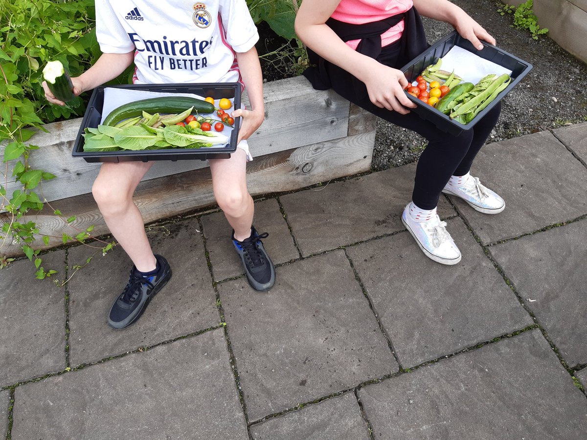 Barnardos Nurture tweet media