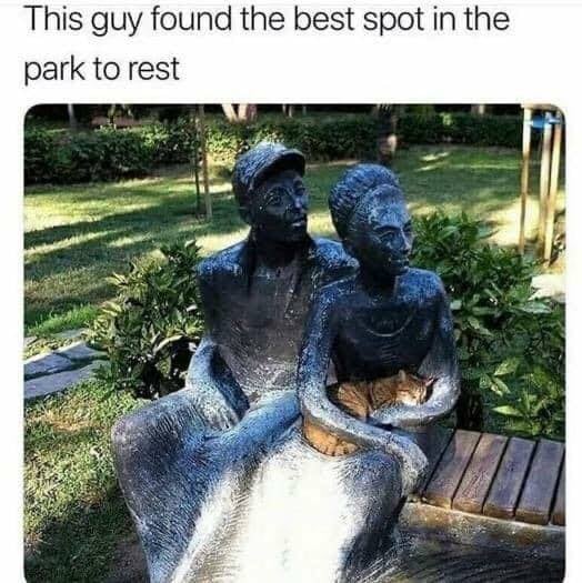 WholesomeMemes (@wholesomememe) on Twitter photo 