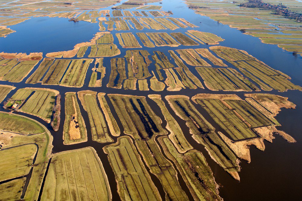 MinIenW's tweet image. Vandaag is het #EarthOvershootDay. Met nog een half jaar te gaan hebben we ons aandeel natuurlijke hulpbronnen voor 2021 op aarde nu al verbruikt. Wil jij ook een steentje bijdragen aan het klimaat? Kijk hier wat jij kunt doen: iedereendoetwat.nl/wat-kan-jij-do… #MoveTheDate 🌍