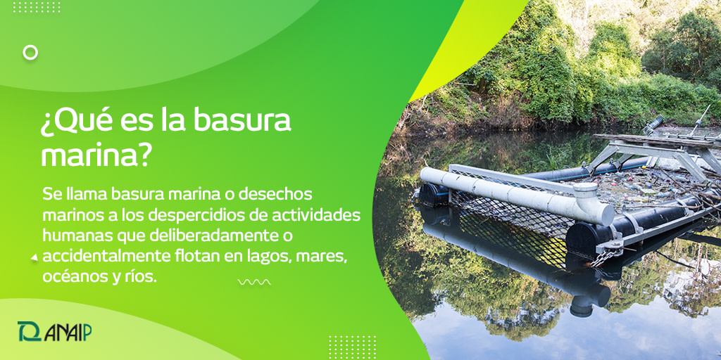 ANAIP_es's tweet photo. ¿Alguna vez te has encontrado desechos en el mar? 🌊🤢 Esto es lo que se conoce como #basuramarina y, entre todos, podemos evitarlo de una manera muy sencilla 👉🏼 no abandonando residuos en el medioambiente y reciclado correctamente ♻️. #NoCulpesAlPlástico #TipsANAIP https://t.co/2is052cUQB