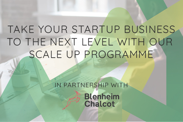digigreenhouse's tweet photo. Want to grow your business, but don't know where to start? Check out the @StartUpHubGsy Scale-Up Programme in partnership with @blenheimchalcot to give your business the support to grow. Find out more below,
https://t.co/b8YBXtNRjP
#ScaleUpProgramme #StartupBusinesses https://t.co/8dd1KxcPGN