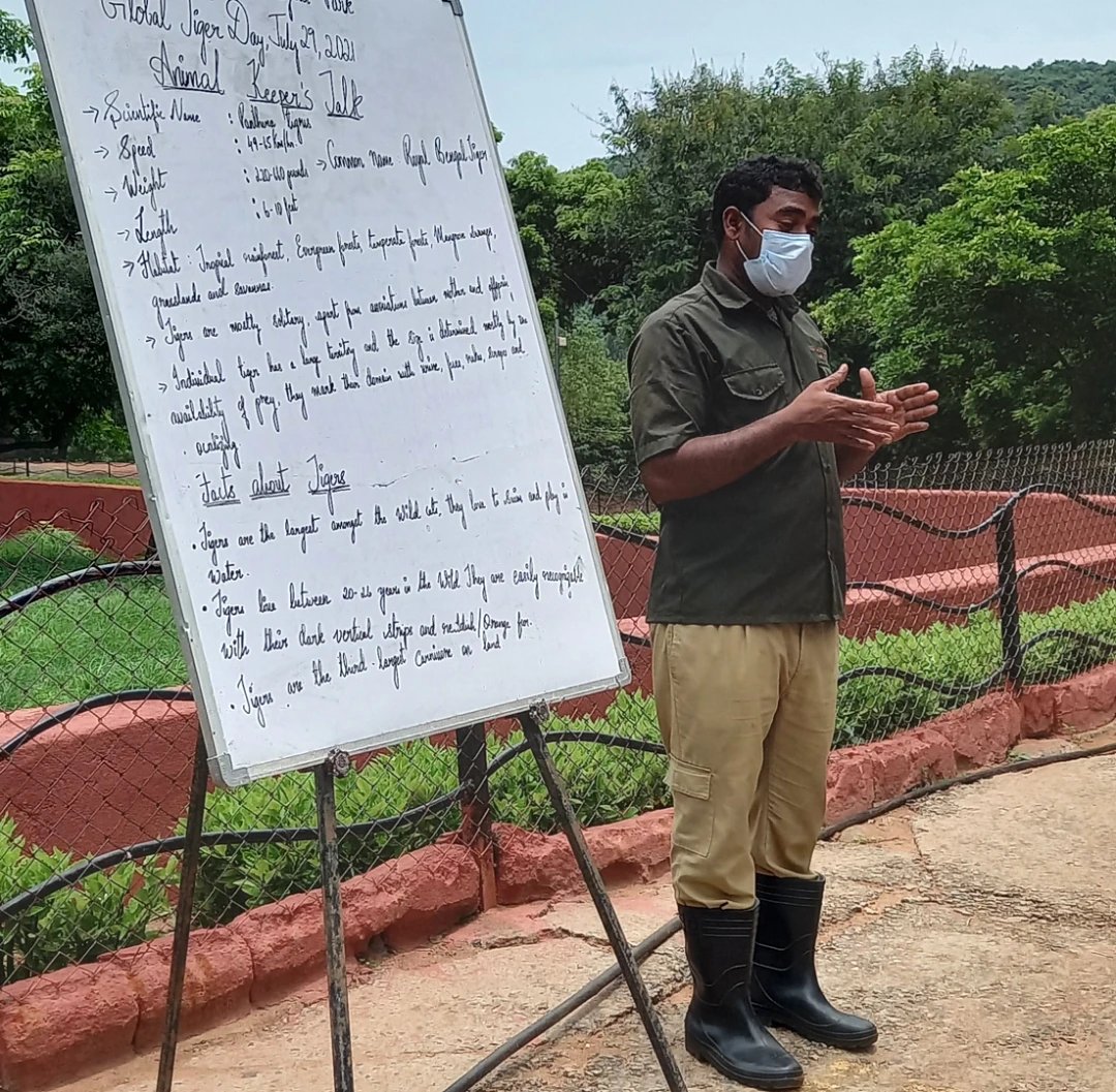 vizagzoo_igzp's tweet photo. Hey guys!
Here we are with our Royal Bengal Tiger keeper, as we celebrate Global Tigers  Day, July 29, 2021.
keeper shared his observations and behaviour of Tigers to the public 🐅🐯 during Animal keeper's Talk session.
#tigerday 
#keeperstalk https://t.co/4qsTz4OMO4