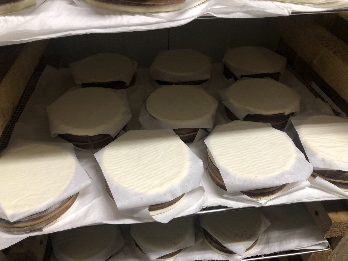 Nuestro queso #MAJUELO es un queso de pasta blanda con corteza natural y en su elaboración se utiliza coagulante de cardo para darle esa cremosidad que tanto lo define. 

Pruébalo 👉 bit.ly/374E93h

#QueseriaArtesanalLascortas #qauesosartesanos #AlimentosdeValladolid