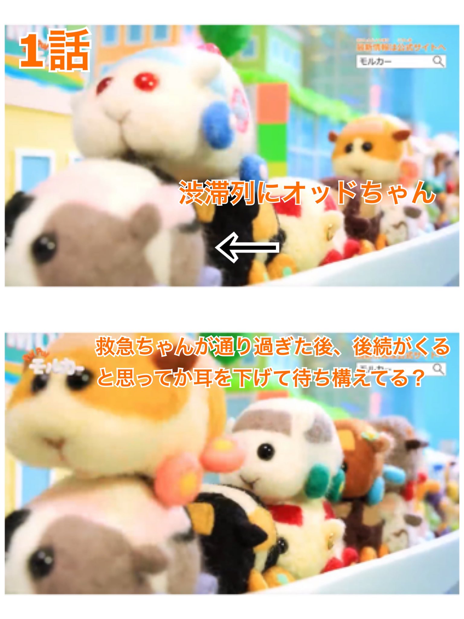 モルカー！その3 cd829f1245d0238d18da8afc958a3b