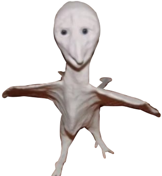 Ocean creature tweet media