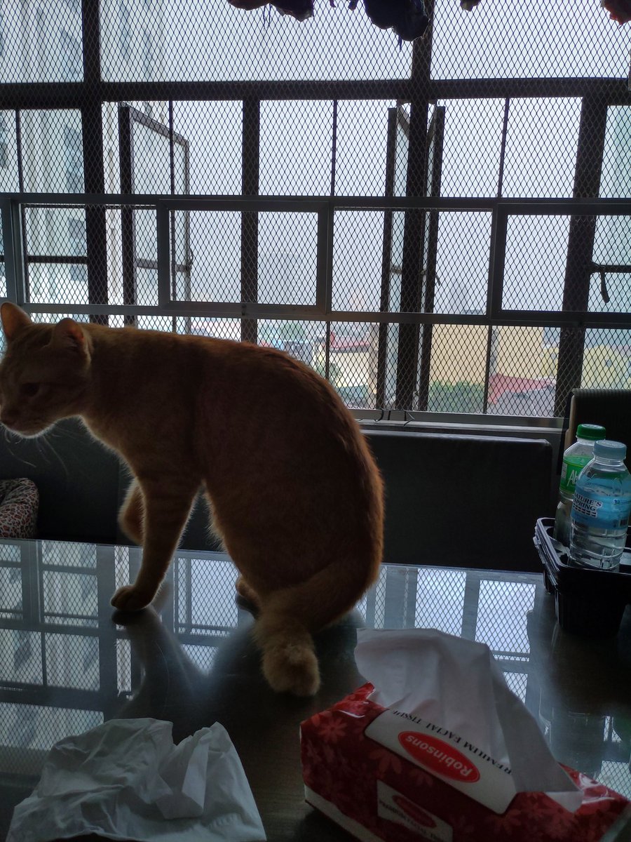 dylanbalde's tweet photo. It's been 10 days and it has. not. stopped. raining. #monsoonlife https://t.co/3O5RHNaxcX