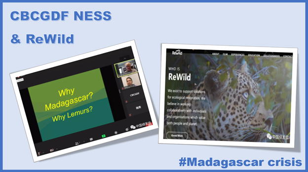 On 22 July, CBCGDF and @rewild held an online meeting to discuss the progress of the #MadagascarCrisis project and future cooperation. Re:wild shared about Madagascar's unique #biodiversity and Russ talked about #biodiversitythreats. We must do more to prevent #extinction
