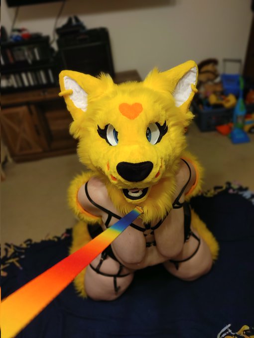 I got all bound up. Since it was late the rest of the photos will be on only fans tomorrow. #Yiff #yiffgirl<a href="/tag/furry"class="tags"><span>#furry</span></a><a href="/tag/yiff"class="tags"><span>#yiff</span></a><a href="/tag/fursuit"class="tags"><span>#fursuit</span></a><a href="/tag/fursona"class="tags"><span>#fursona</span></a><a href="/tag/fursuiter"class="tags"><span>#fursuiter</span></a><a href="/tag/furryfandom"class="tags"><span>#furryfandom</span></a>