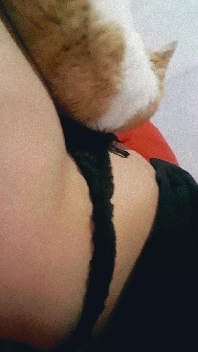 Afortunado mi michi