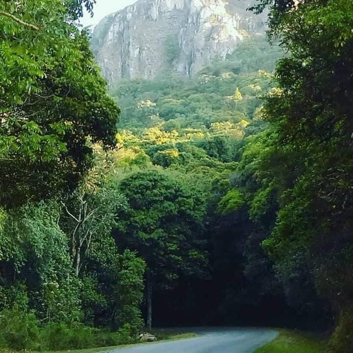 WaltJackman's tweet photo. Random Pictures ❤️🇿🇼. Zimbabwe is beautiful. #VisitZimbabwe ❤️🇿🇼 https://t.co/7lEduwXznS