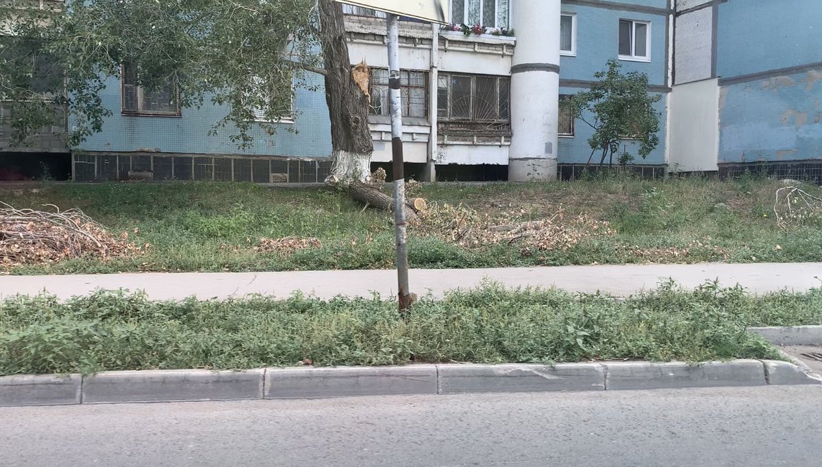 Доброе утро. <a href="/promadm/">Promadm.samara</a>  сколько ещё будут лежать брёвна и ветки после падения дерева? Там хворост уже. Посодействуете, пожалуйста. На ул. Аминева за домом 27.