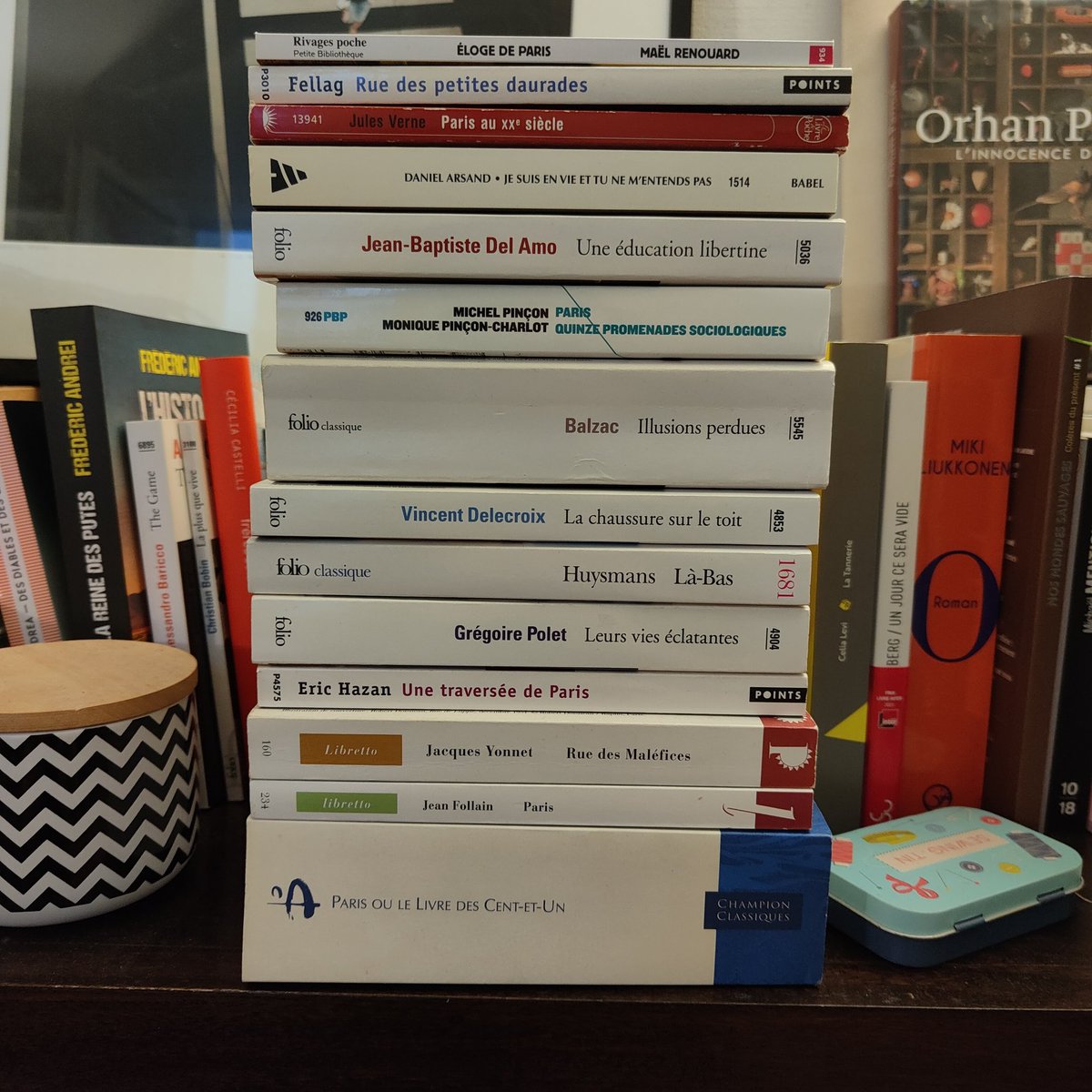 📚Oui oui oui j'entasse les livres qui se passent à Paris pour mes balades littéraires ! Alors, ce sera quoi la prochaine selon vous ?