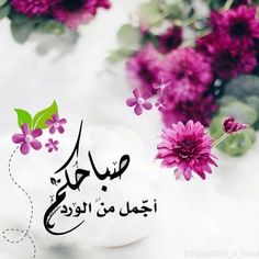 الـذكــــــــريــــــــــــات الجمـــــــيـلــــــه
ســـرب مــــن الطـيــــــور المهــاجـــــره
لا يمكـــــــنــــك القـبــــض عليـهــــــا ،،
ولكــــــن يمكـنــــــــــك الإستمـتـــــاع
بـمـــــرورهـــــــــــــــا أمـــــــــامــــــك.