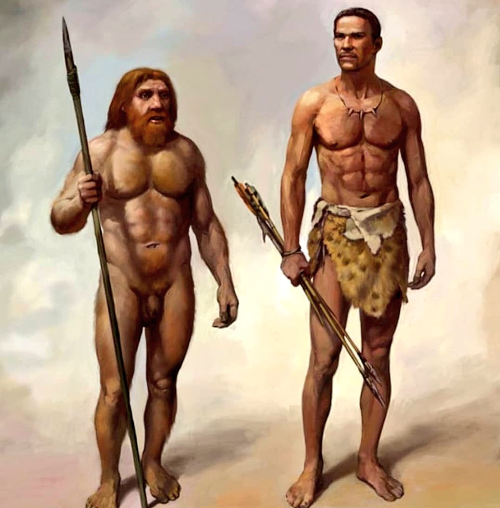 Neanderthal ve Homo sapiens. 