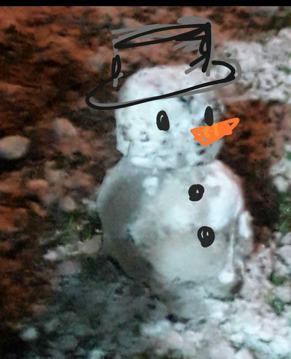 bolierrr's tweet photo. gente olha meu boneco de neve, ele se chama robson 

 (frozen) https://t.co/Vm1WYr1h1h