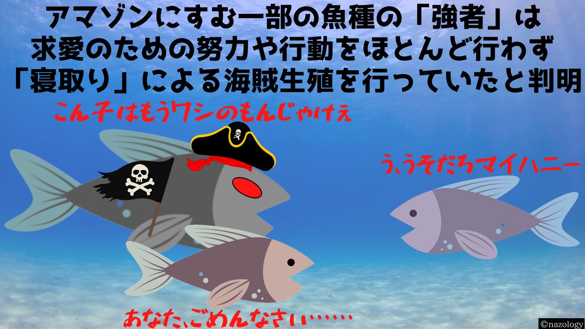 ｎｔｒ注意 気になるあの子に告白してokされた夜 ボクは南米川下り選手権の先輩に逆らえず 彼女は先輩の家に ウハウハザブーンされてしまい Togetter