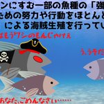 他のオスに求愛行動を代行させる!？強い魚のオスになると求愛海賊行為をする!