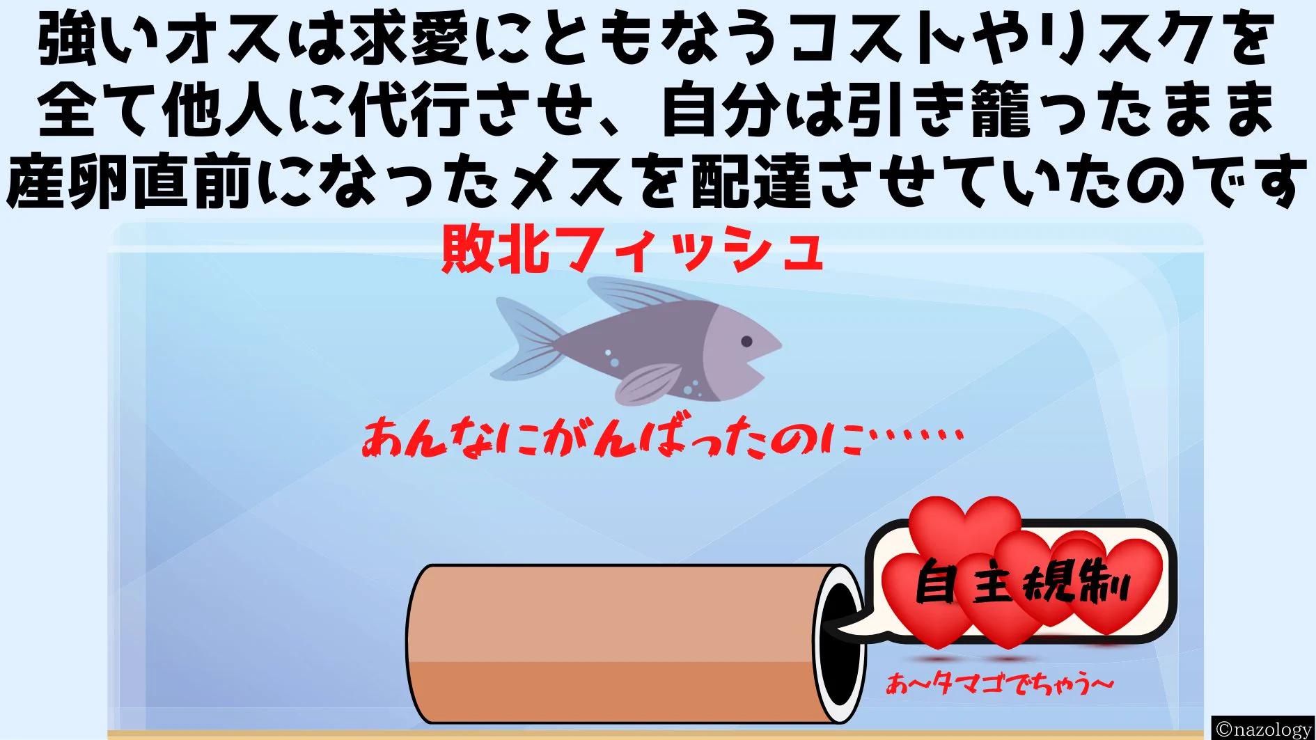 他のオスに求愛行動を代行させる！？強い魚のオスになると求愛海賊行為をする！