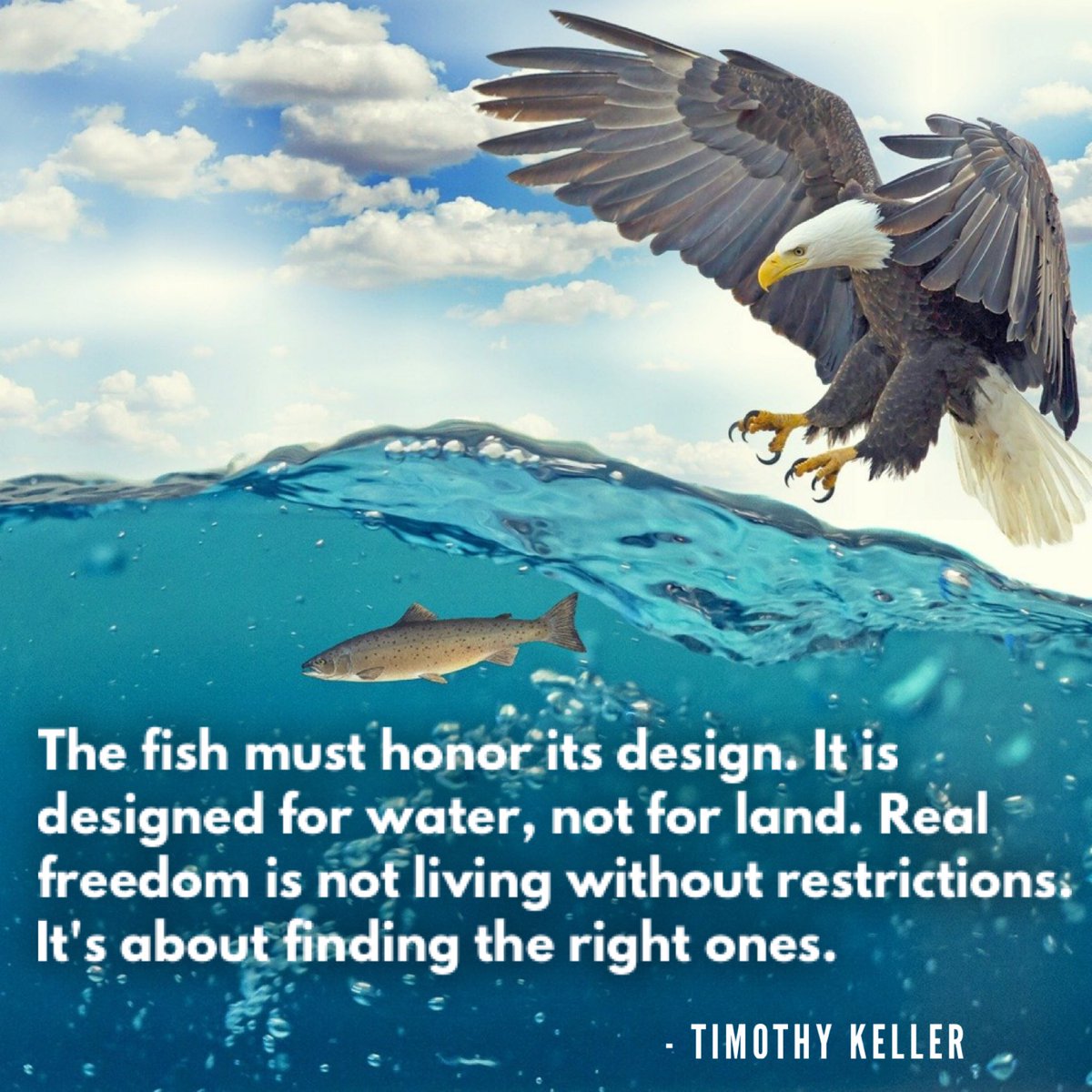 Ian_Banerjee's tweet photo. @timkellernyc Love your Message https://t.co/uNRuRKZ5Bd