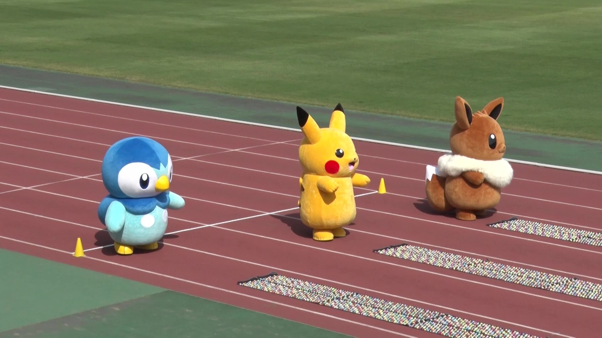 【FEILER】ピカチュウ&イーブイ ピカチュウ&ポッチャマ FEILER ポケモン ハンカチ ピカチュウ ポッチャマ フェイラー