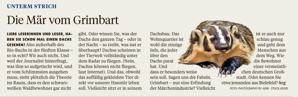 Hat jemand von euch jemals einen Dachs gesehen? Ich glaube ich bin da einer ganz großen Verschwörung auf der Spur..
#untermstrich #glosse #print