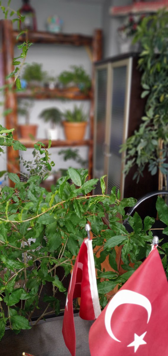 Bulunduğun alanı güzelleştirmen senin elinde. Sadece birazcık çaba...