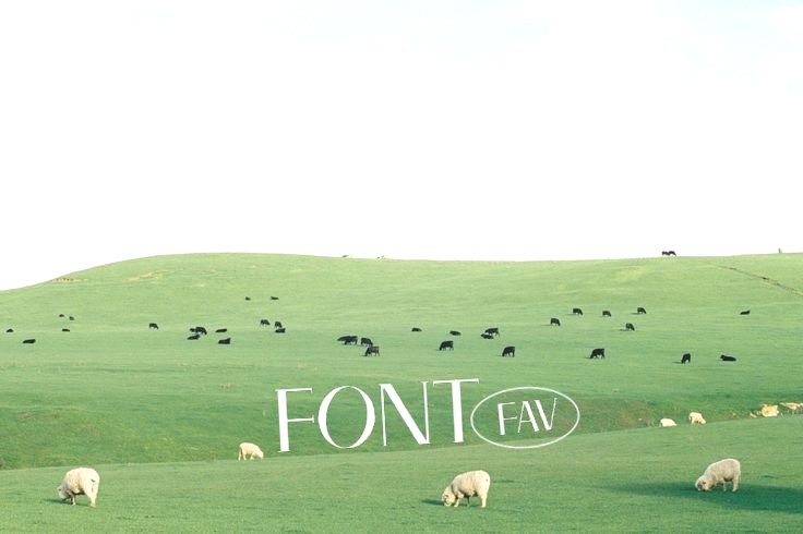✷Thread font fav.(link download)