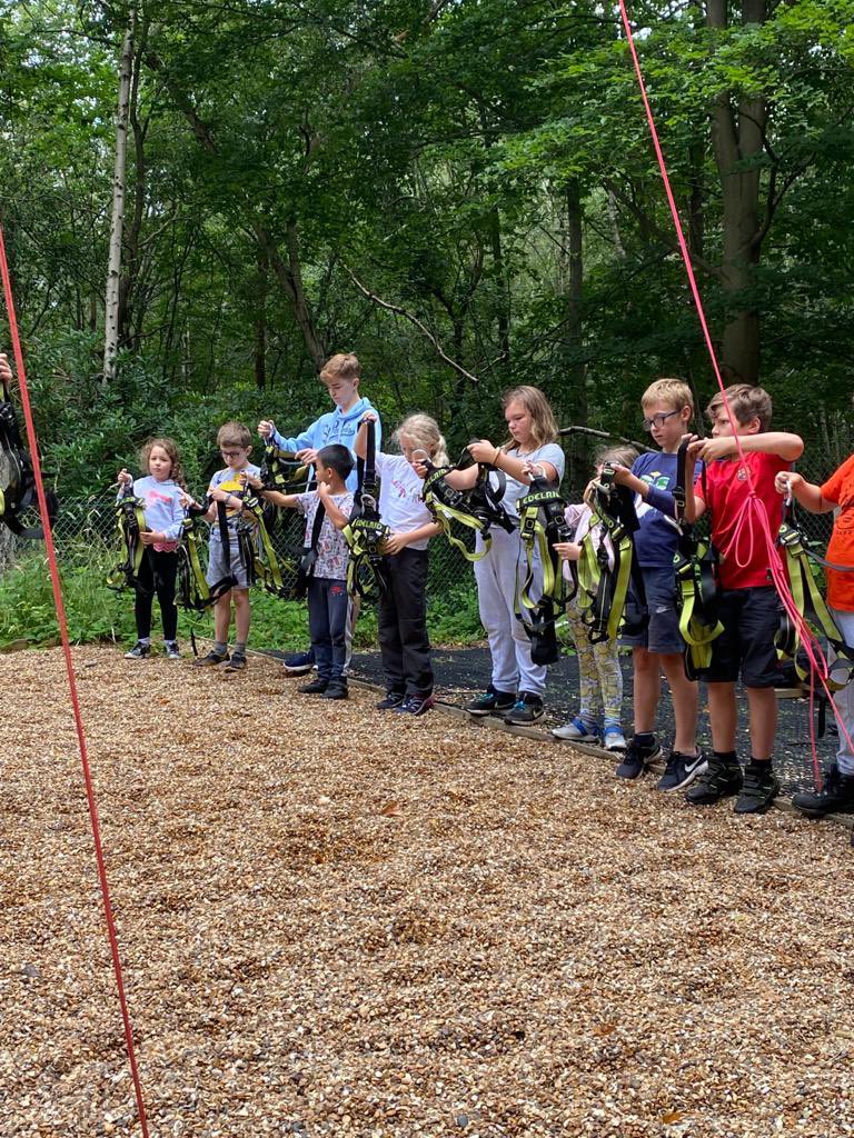 11thWallington tweet media