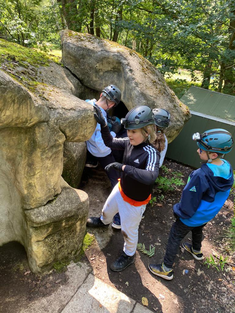 11thWallington tweet media