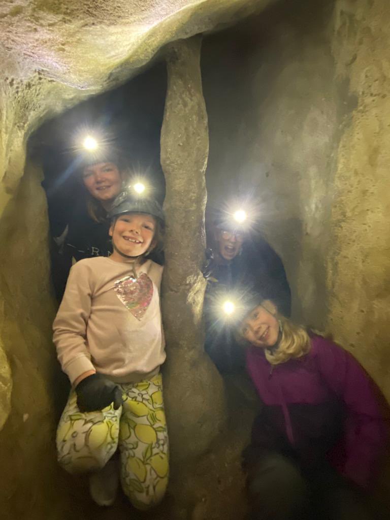 11thWallington tweet media