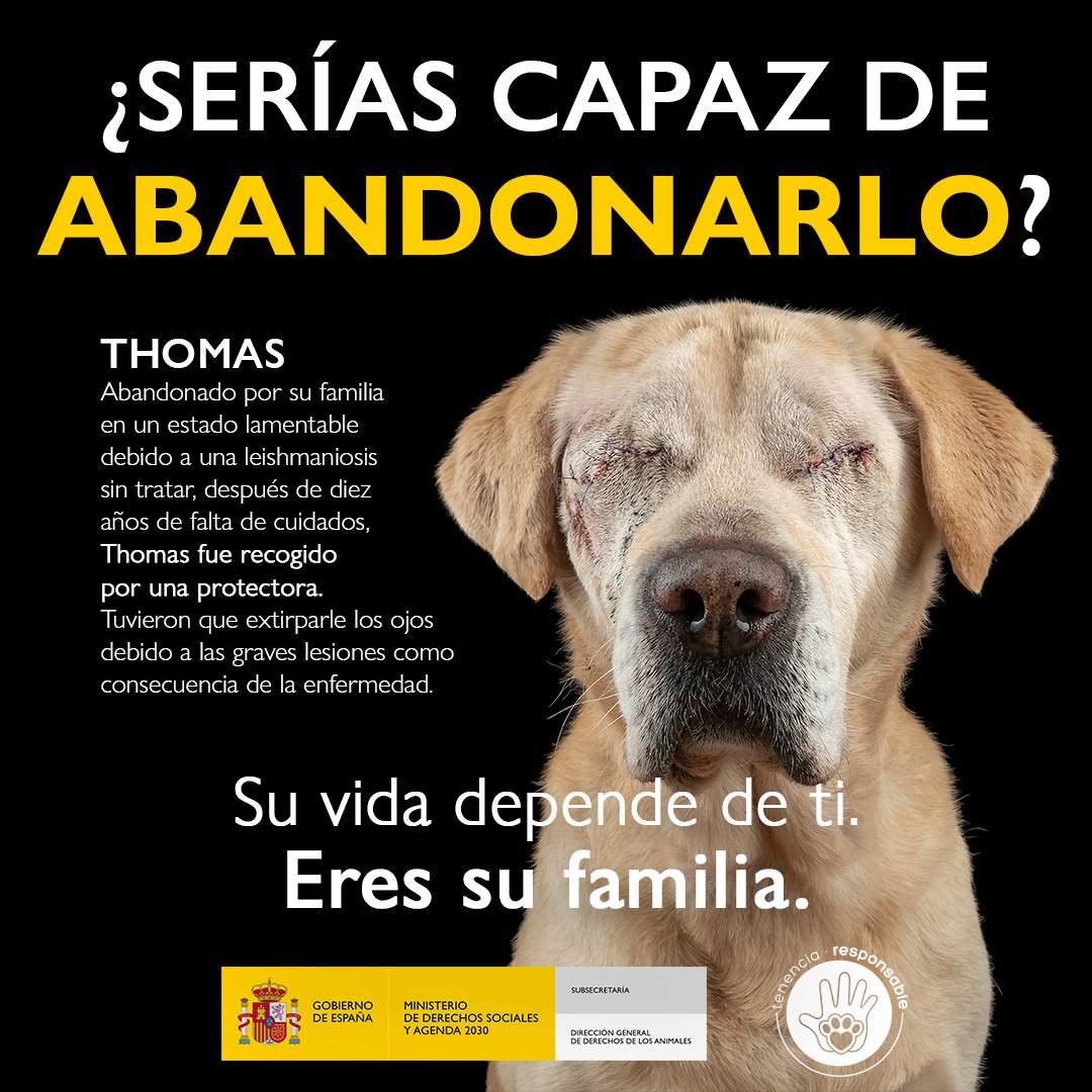 D G Derechos Animales Animalesgob Twitter