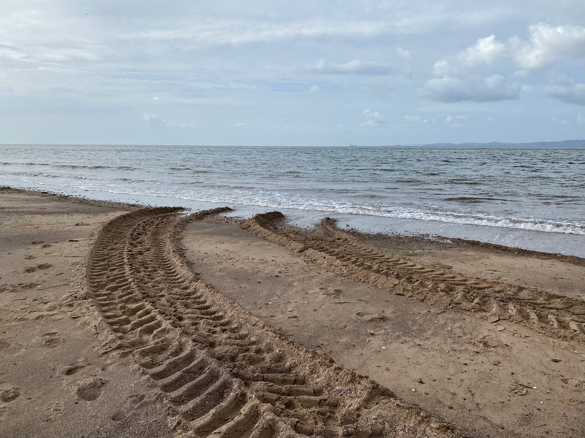 I see it’s the time of year when the sea tractors come ashore to breed, then return to the ocean. 

#MadeUpMyths #seaside #beach