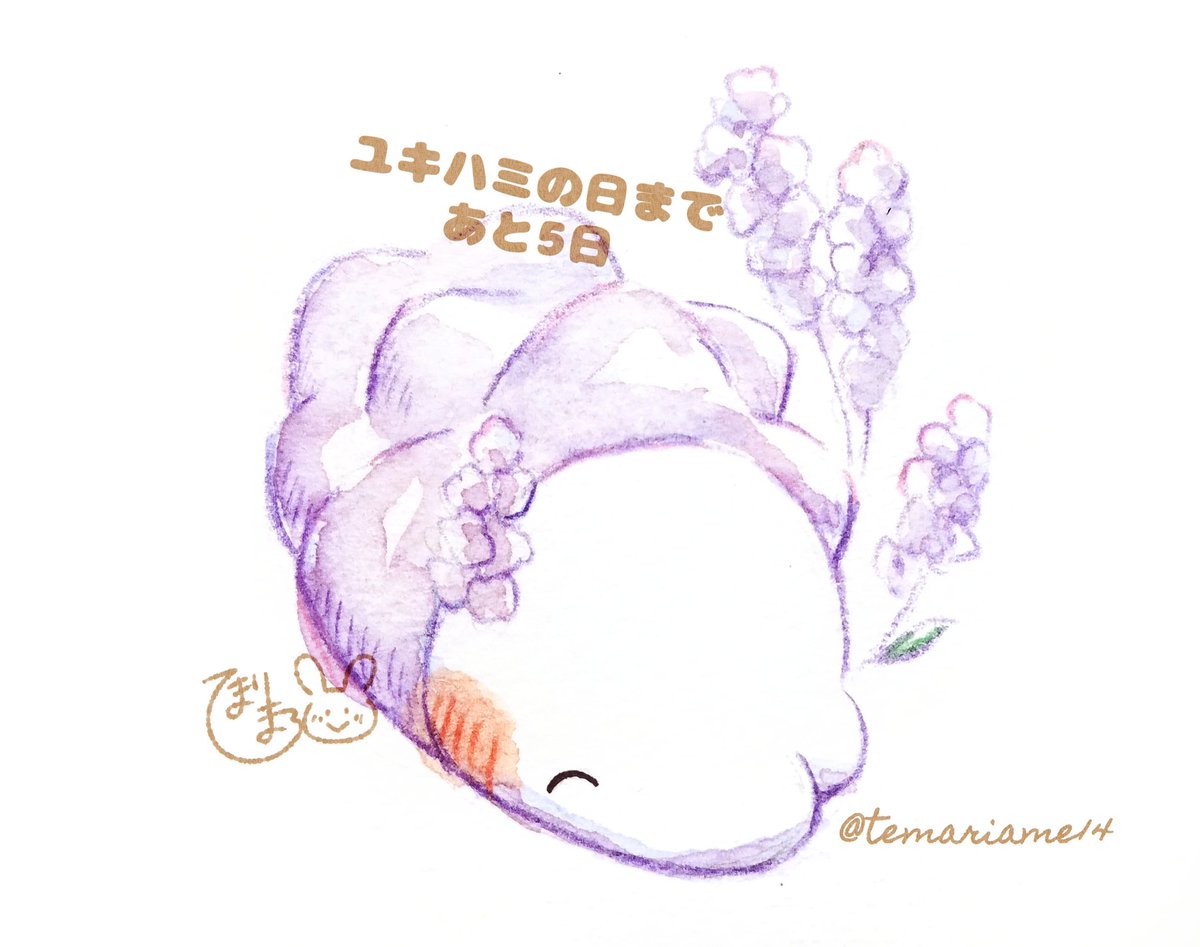 ポケモン ユキハミの日 まであと5日 てまりまろのイラスト ポケモン ユキハミの日 まであと5日 てまりまろのイラスト