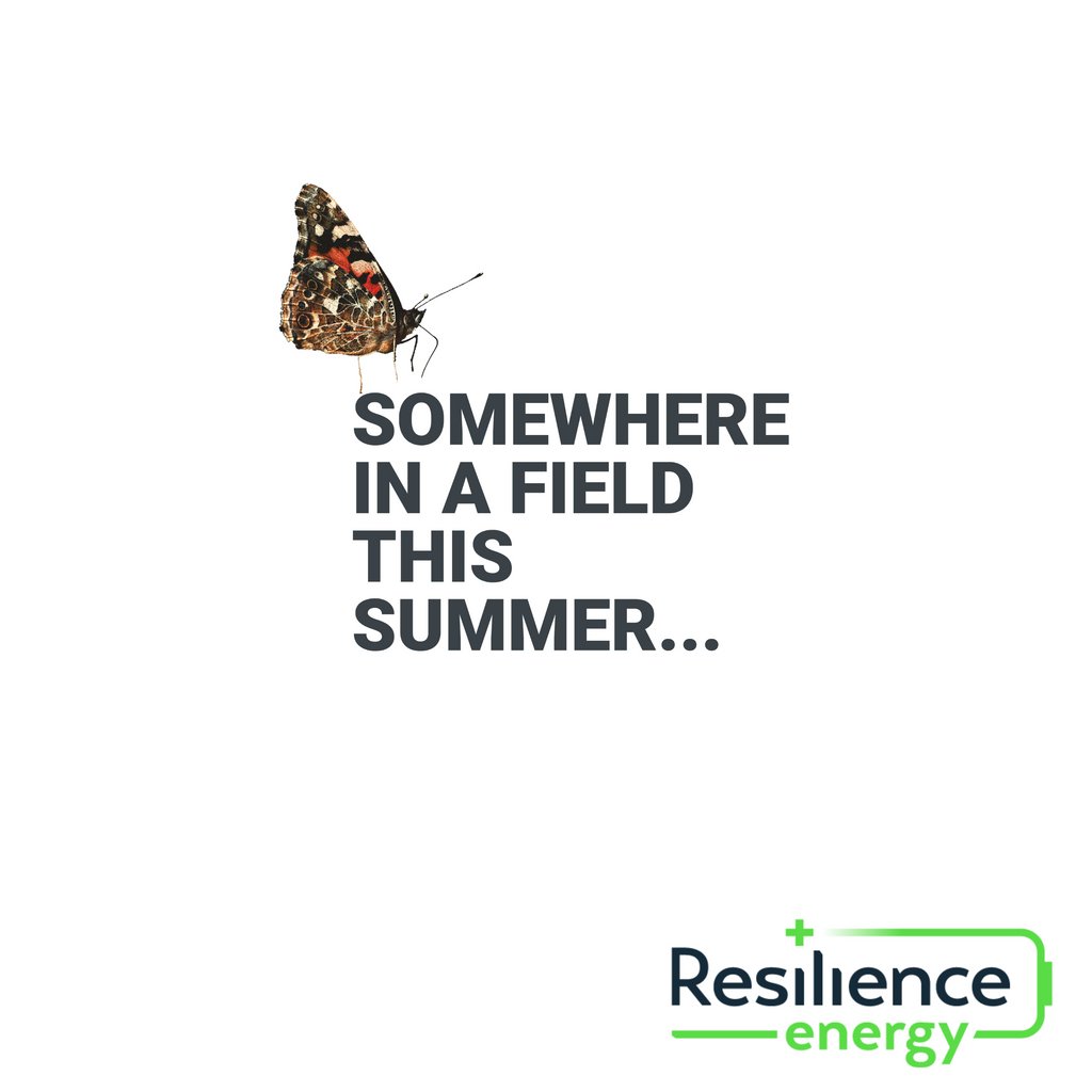 ResEnergy2day's tweet photo. Does your near future involve guy ropes, campfires and solar chargers? Yup, we'll all be there! So...use the solar to keep the tech going, go home, install solar tech for a more #sustainable life. 

#resilienceenergy #renewableenergy #sustainability https://t.co/pzOwBjUCWE