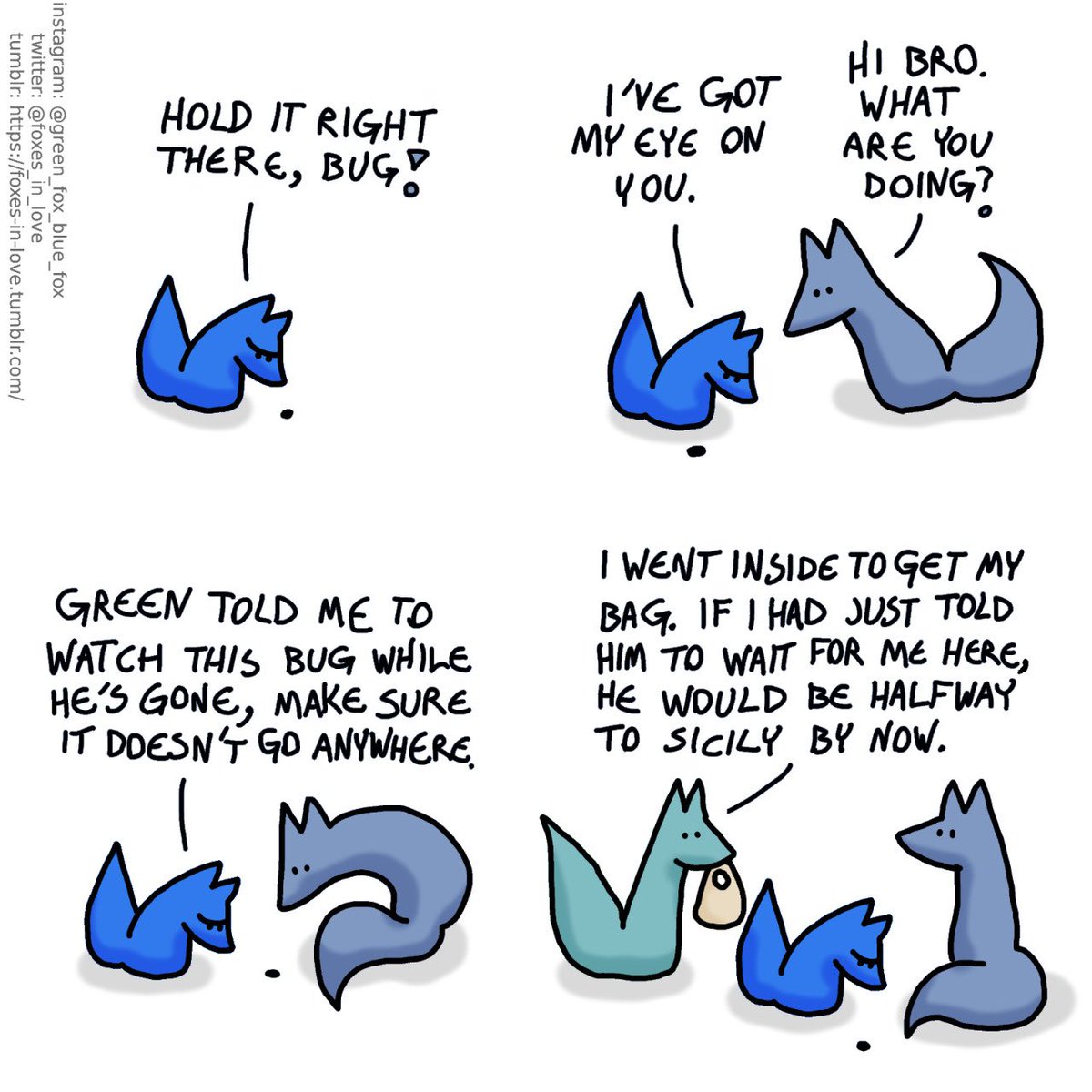 Foxes in Love (@foxes_in_love) on Twitter photo 