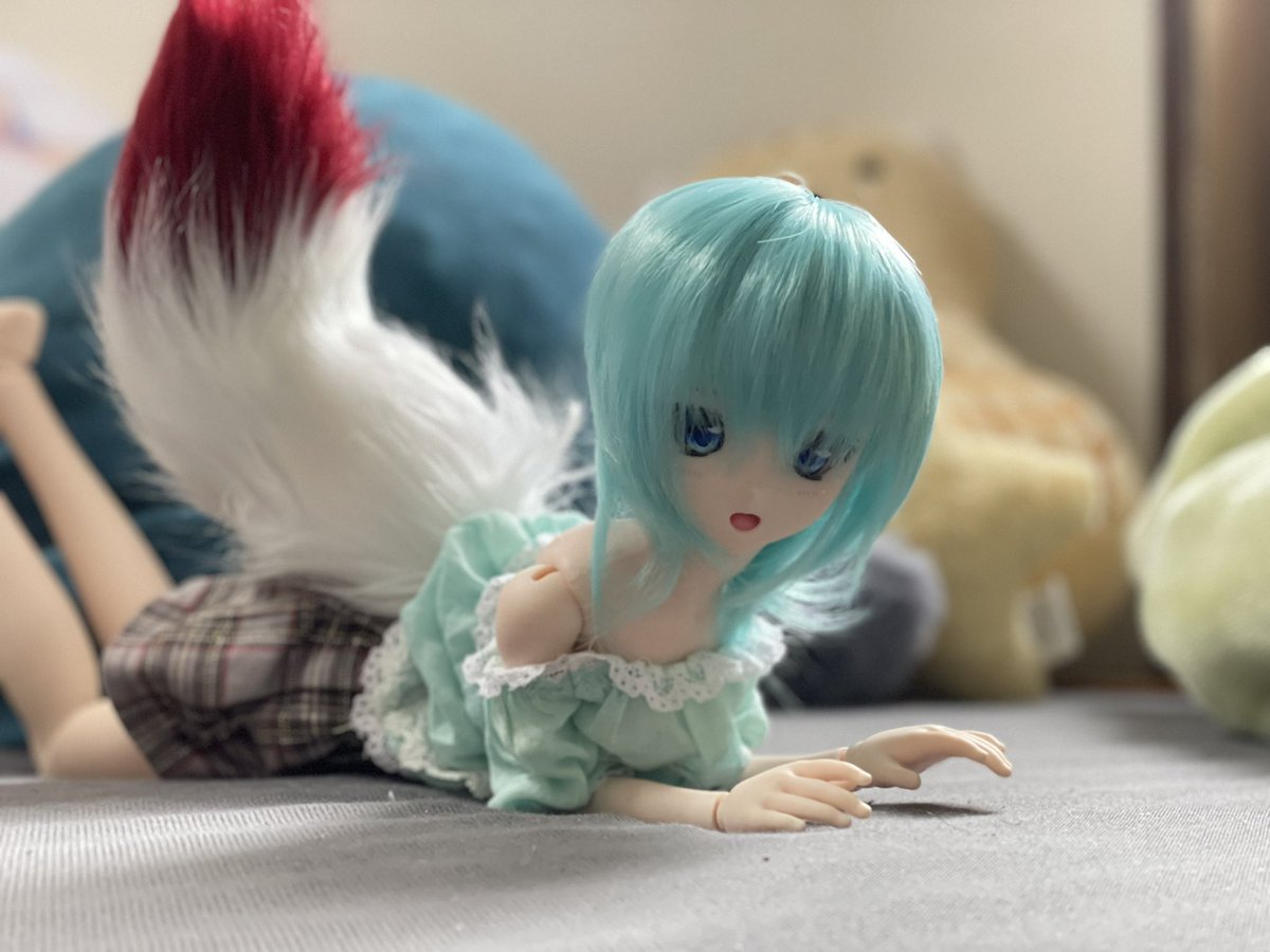 ごんた Gonta0918 Twitter