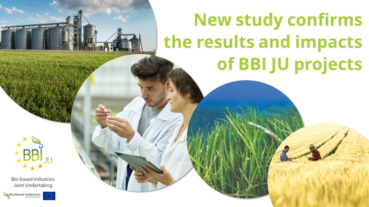 Circular Bio-based Europe Joint Undertaking (@cbe_ju) on Twitter photo 🆕 A new study by <a href="/TeknologiskInst/">Teknologisk Institut</a> and <a href="/foodbiodk/">Food & Bio Cluster Denmark</a> confirms that BBI JU-funded projects boost #sustainability 💚 in #Europe 🇪🇺 by
💡 developing new #biobased 🌱 products & #innovative processes
🧑🏭creating #green jobs
🌍 preserving the environment
👉More: europa.eu/!uym8GF 🆕 A new study by <a href="/TeknologiskInst/">Teknologisk Institut</a> and <a href="/foodbiodk/">Food & Bio Cluster Denmark</a> confirms that BBI JU-funded projects boost #sustainability 💚 in #Europe 🇪🇺 by
💡 developing new #biobased 🌱 products & #innovative processes
🧑🏭creating #green jobs
🌍 preserving the environment
👉More: europa.eu/!uym8GF