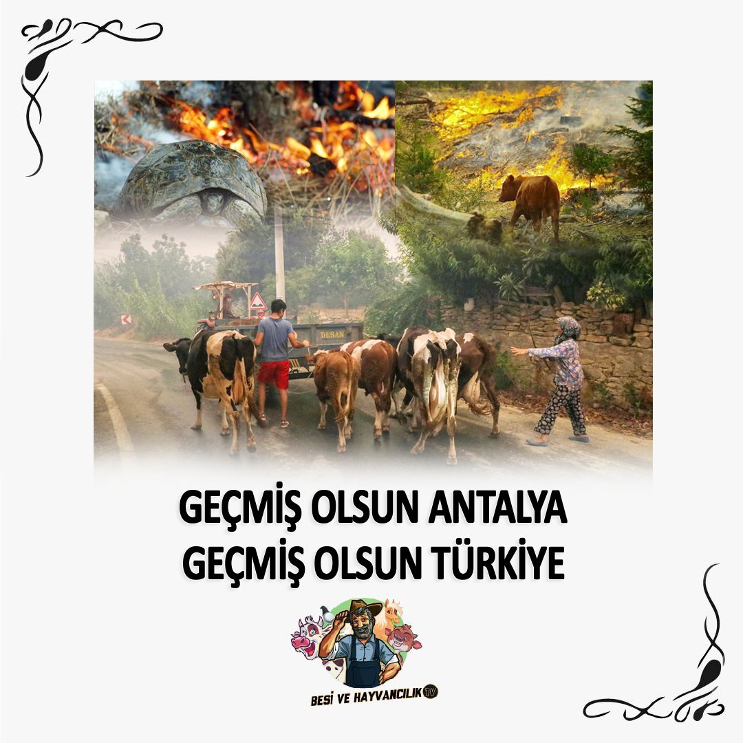 Dualarımız sizinle. 🤲🇹🇷 Geçmiş olsun #Manavgat