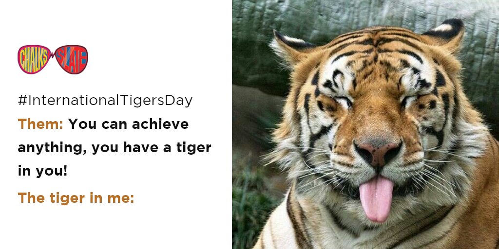 chalksnslate's tweet photo. Intimidating? Tigers.
Fierce? Tigers.
Nearing extinction? Tigers.
Hotel? @trivago https://t.co/onwII08MLj