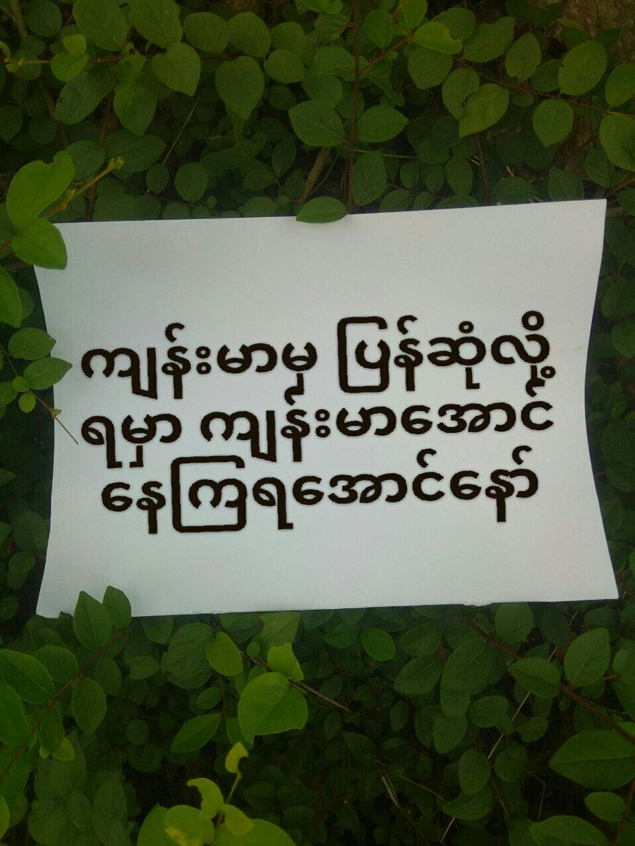 MKH111122's tweet photo. Non-human strike from Kyu Won village, #Mandalay region marched to against military dictatorship in this afternoon.
#July29Coup 
#WhatsHappeningInMyanmar https://t.co/jGoiOKpyk7
