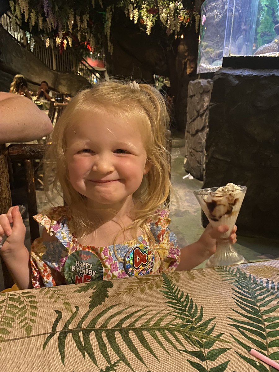LaurenWerrett's tweet photo. @SouthfieldNK @SouthfieldFS Violet had a great birthday London soo followed by tea @RainforestCafe https://t.co/JnHcRNb9JB
