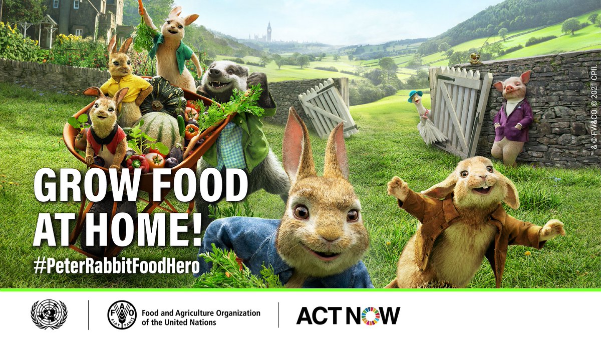 Grow food at home like #PeterRabbitFoodHero! 
